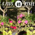 Google Pixel 2 XL vs iPhone 8 Plus in un primo camera test
