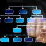 Struttura organizzativa di un’azienda: modelli e criteri di scelta