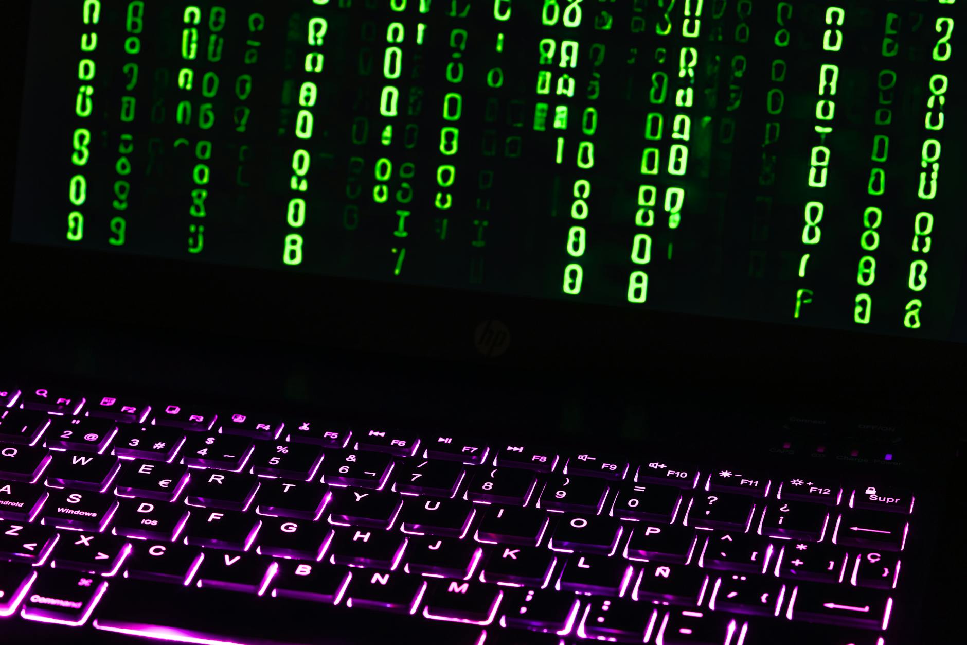 Phishing e ransomware: le minacce informatiche più diffuse in Italia e come difendersi passo per passo