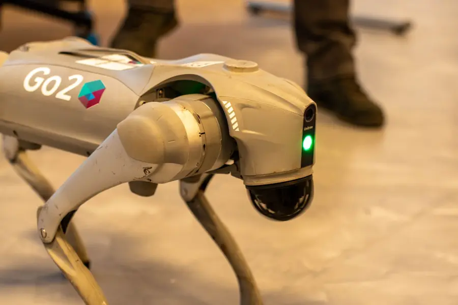 Cane robot e prezzo: modelli e costi nel 2026