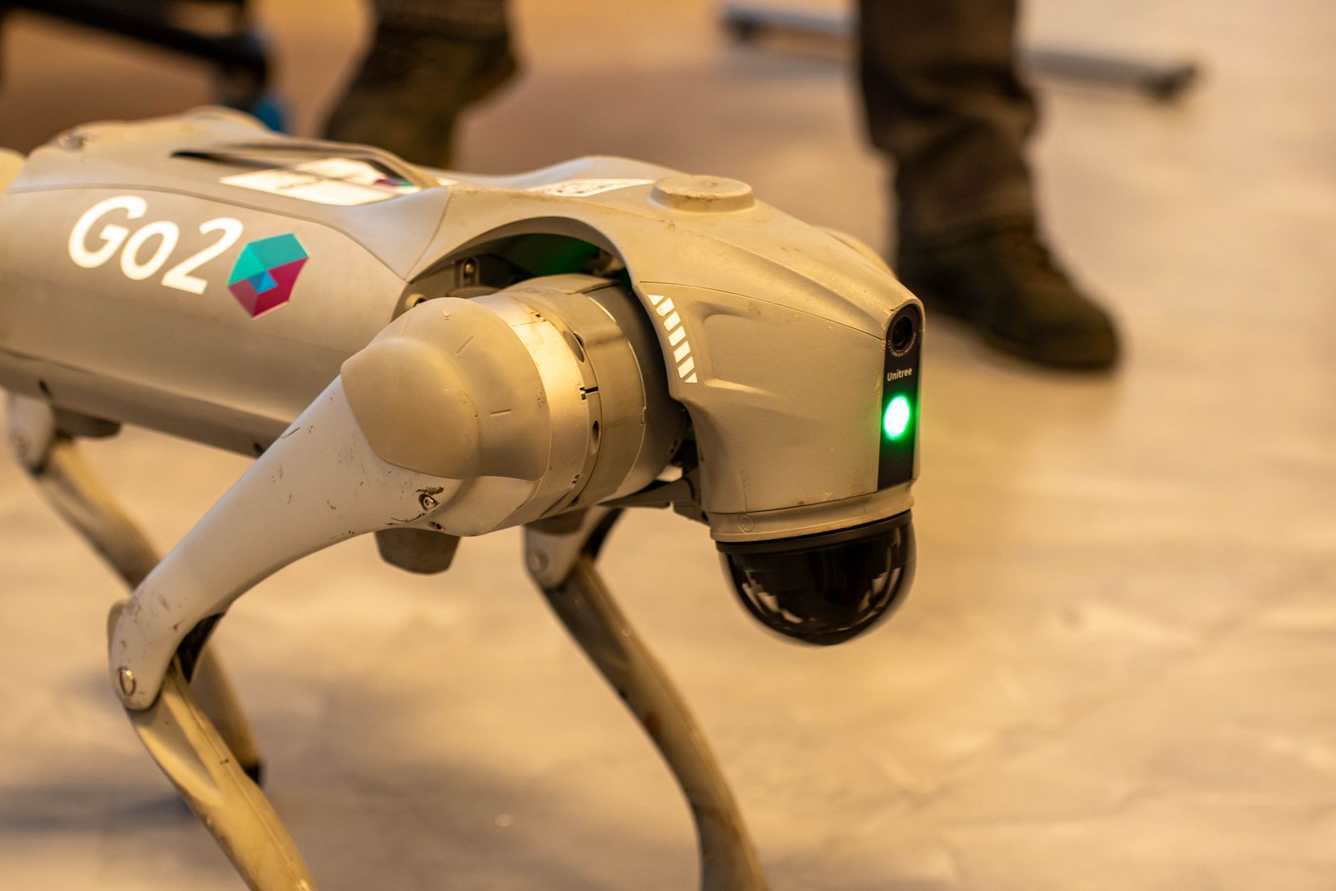 Cane Robot Prezzo: Modelli e Costi nel 2026