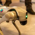 Cane robot e prezzo: modelli e costi nel 2026