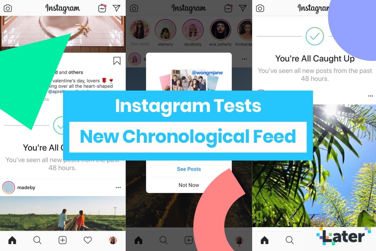 Instagram tornerà al feed cronologico nel 2022