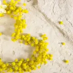 Auguri per Festa della Donna 2021 con frasi, immagini, GIF e biglietti divertenti l'8 marzo