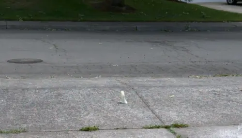 I cristalli di zucchero riusciranno a salvare iPhone X da una caduta allucinante?