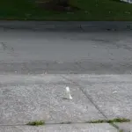 I cristalli di zucchero riusciranno a salvare iPhone X da una caduta allucinante?