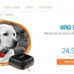 Wind Pets Pack è l'offerta dedicata ai nostri amici a 4 zampe