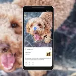 Google Foto: arrivano nuove funzionalità grazie alla AI