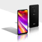 LG afferma: 