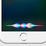 Apple assume nuovi ingeneri, Siri sarà migliorato?
