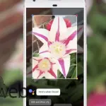 Google Lens arriva su tutti i dispositivi Android con Google Foto