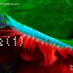 Nothing Phone (1): a luglio la presentazione, tutto quello che sappiamo