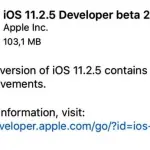 iOS 11.2.5 beta 2 disponibile per gli sviluppatori