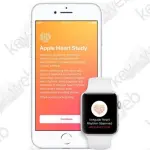 Apple Watch: lanciato uno studio per identificare i ritmi cardiaci irregolari