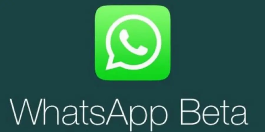 Con WhatsApp beta arriva finalmente la copia delle didascalie e non solo