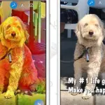 Skype: in arrivo effetti foto con IA stile Snapchat