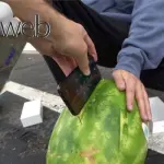 iPhone X, un’anguria, avete già capito che non finirà bene