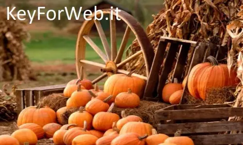 Auguri di buona festa Ognissanti il 1 novembre 2017: migliori immagini, GIF e frasi per Whatsapp
