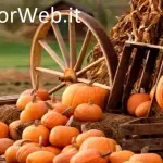 Auguri di buona festa Ognissanti il 1 novembre 2017: migliori immagini, GIF e frasi per Whatsapp