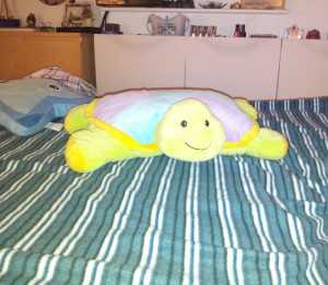 Scatto con NGM Dynamic Maxy