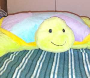 Scatto con NGM Dynamic Maxy