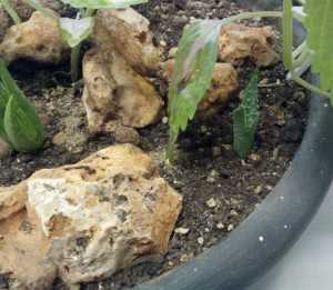 Scatto con NGM Dynamic Maxy