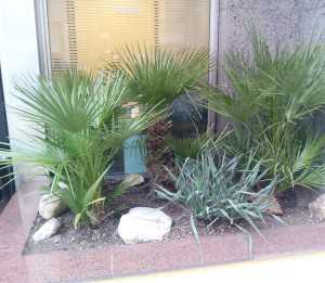 Scatto con NGM Dynamic Maxy