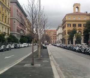 Scatto con NGM Dynamic Maxy