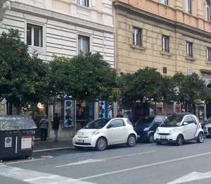 Scatto con NGM Dynamic Maxy