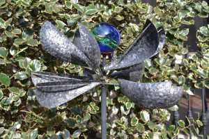 Nikon-D3100---Bright-Light-2