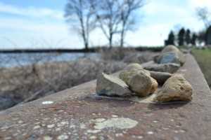 Nikon-D3100---Depth-of-Field