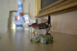 Nikon-D3100---Low-Light-2