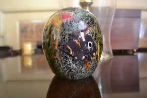 Nikon-D3100---Low-Light