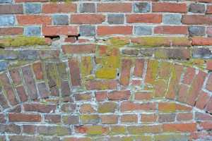 Nikon-D3100---Pattern