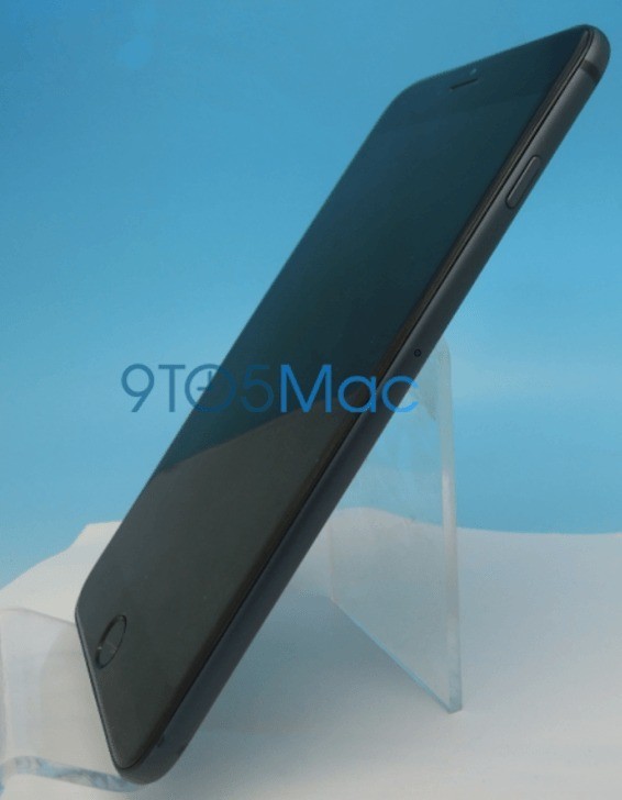 iPhone 6 4.7" e 5.5" a confronto