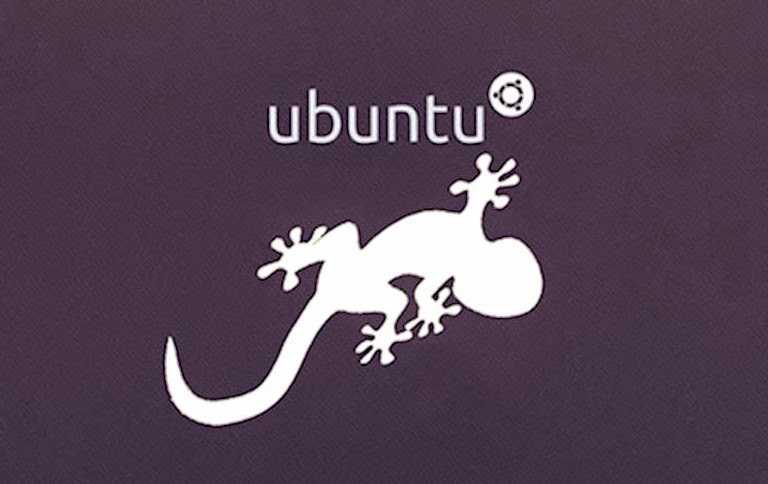 Fine supporto per Ubuntu 13.10 Saucy Salamander