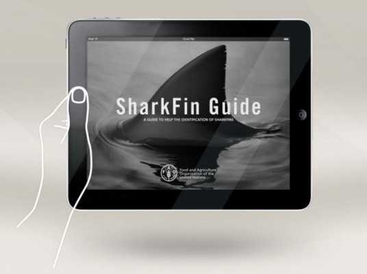 iSharkFin