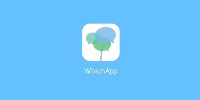 WhichApp lancia in nuovo servizio Now