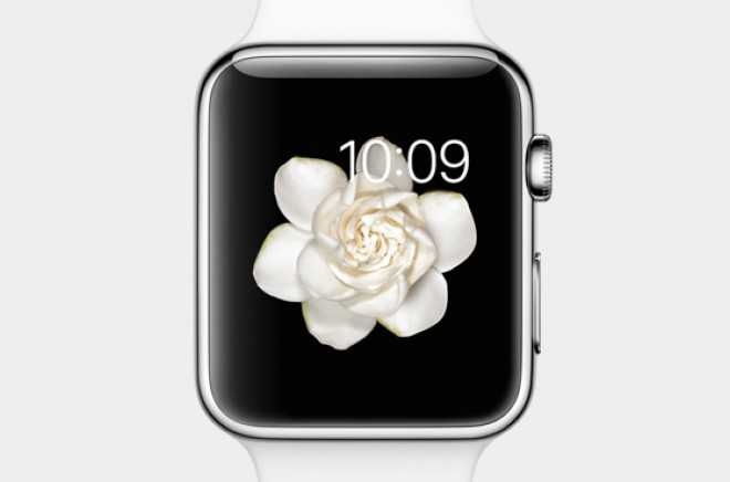 apple watch