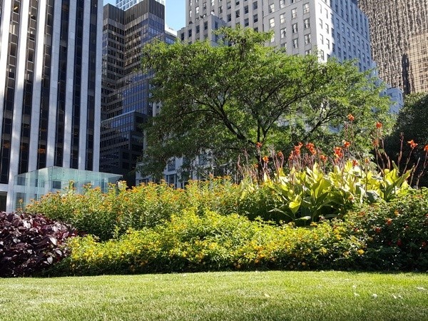 Samsung Galaxy S6 Edge Plus vs Google Nexus 6P