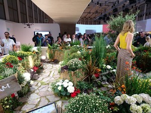 iPhone 6s vs Xperia Z5