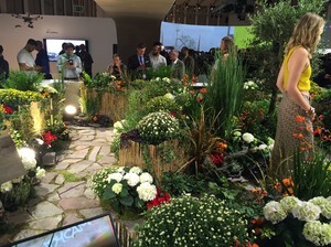 iPhone 6s vs Xperia Z5