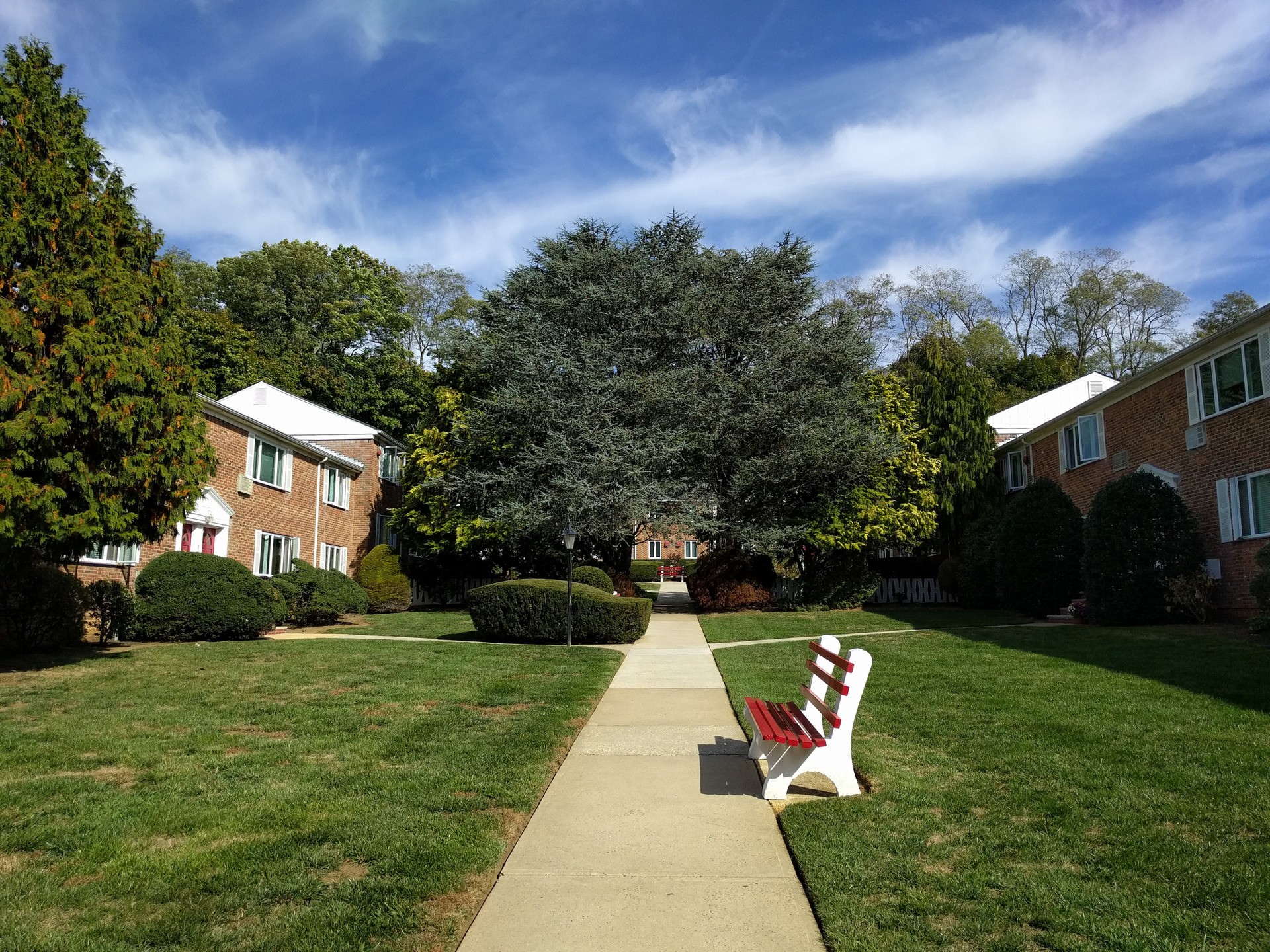 Samsung Galaxy S6 Edge Plus vs Google Nexus 6P