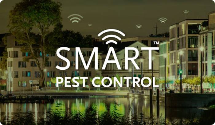 Catturare topi 2.0: grazie alle Smart Trap da oggi si possono catturare i roditori grazie a wi-fi e domotica