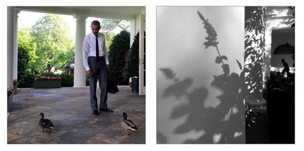 foto scattate con iPhone