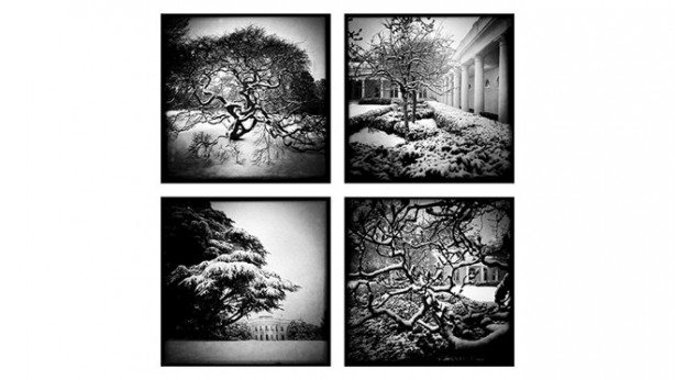 foto scattate con iPhone