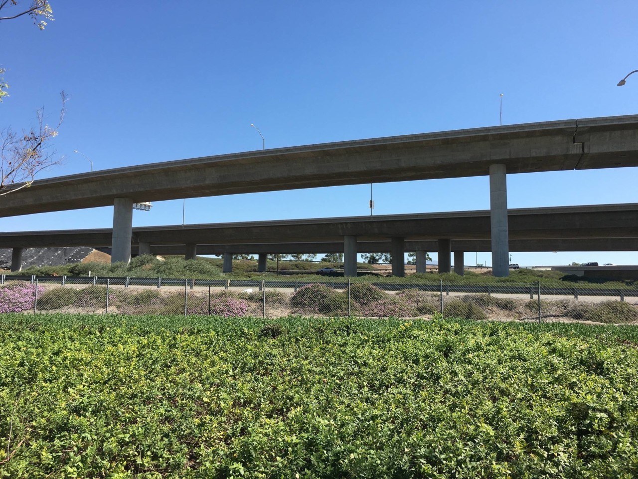 Apple iPhone 6s vs OnePlus 2