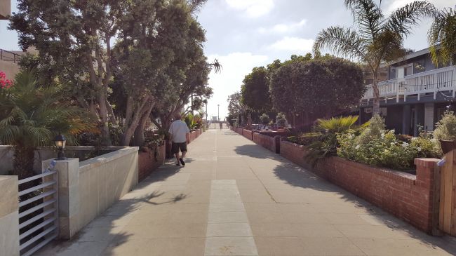 Galaxy S6 Edge Plus vs Galaxy Note 5