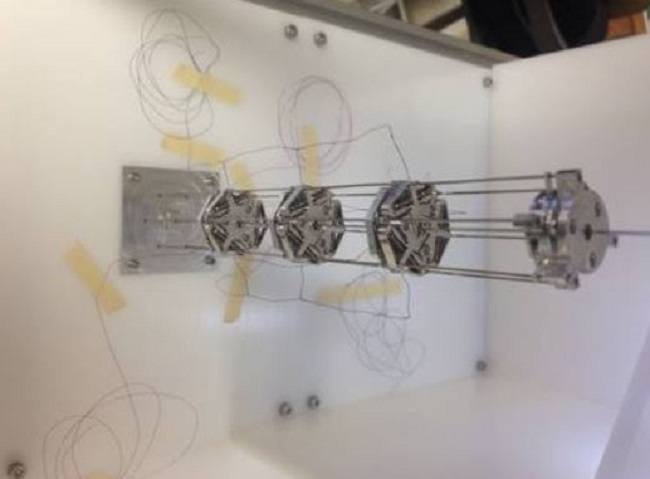 Brevettato il primo robot flessibile in grado di evitare qualsiasi ostacolo