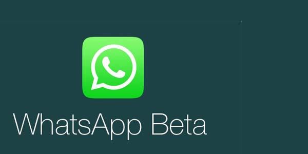 WhatsApp Beta